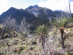 Carstensz-Kembalo plato